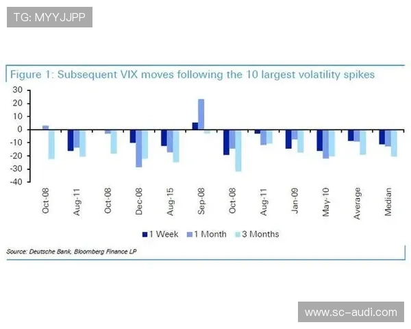 琼阿梅尼为何表现波动：稳定性欠缺的结构性分析